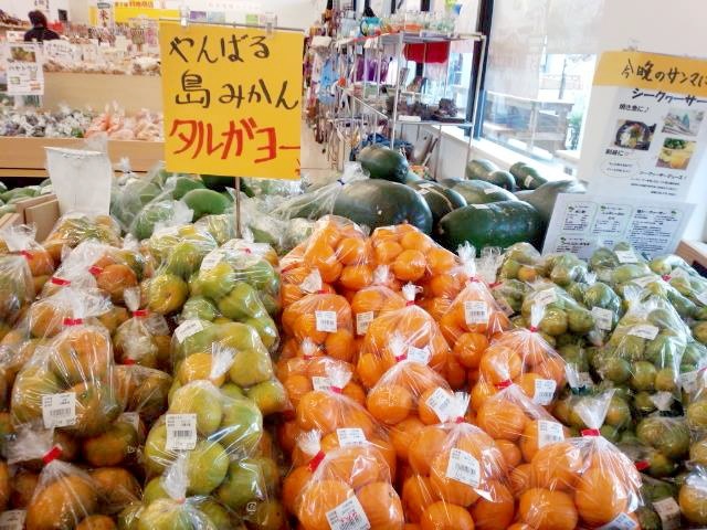 羽地の駅,道の駅,沖縄,名護