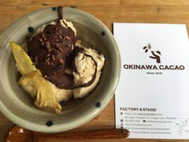 おきなわカカオ　国頭村